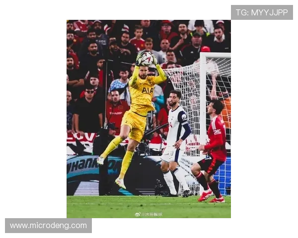 欧洲杯最佳门将