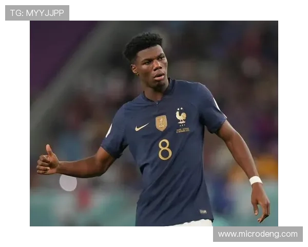 奥雷利安·楚阿梅尼对比罗德里：防守型中场模板对比